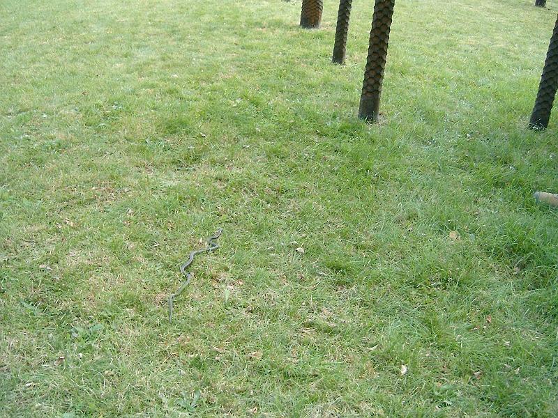 2010.10.10. 083.jpg